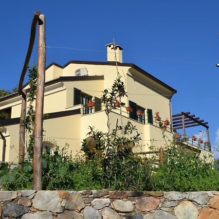 Joie De Vivre Bed & Breakfast Calice Ligure Eksteriør bilde