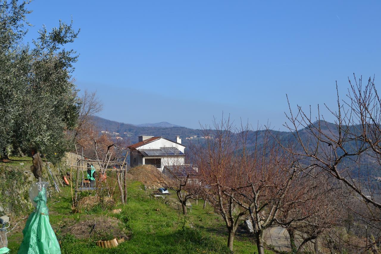 Joie De Vivre Bed & Breakfast Calice Ligure Eksteriør bilde